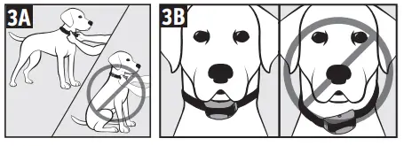 Cabela s GS 100 Training Collar-fig8