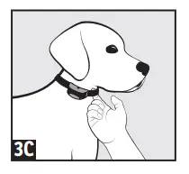 Cabela s GS 100 Training Collar-fig9