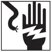 RISK OF ELECTRICAL SHOCK