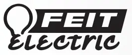 FIET logo