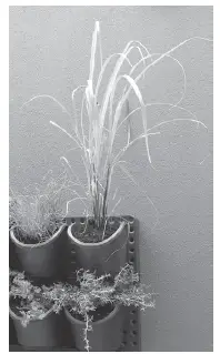 HOLMAN-GW1006-Slim-Vertical-Planting-Kit- (13)