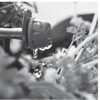 HOLMAN-GW1006-Slim-Vertical-Planting-Kit- (15)