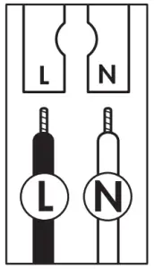 Assembly Instructions