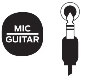 Guitar/Mic Inputs & Gain/Echo Controls
