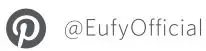 eufy T9149 Smart Scale Owner's Manual - Pinterest Logo