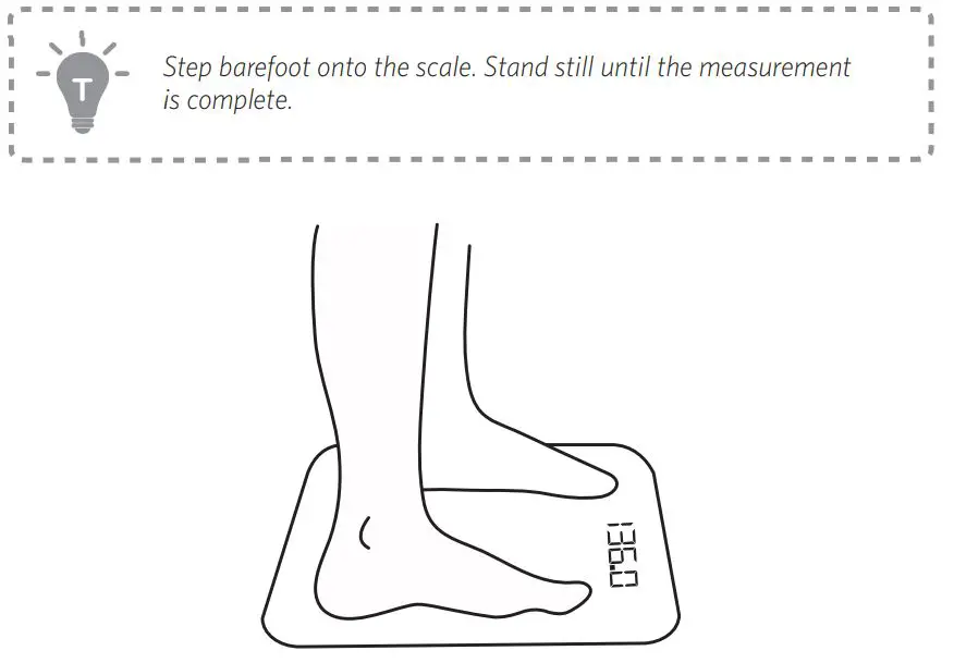 eufy T9149 Smart Scale Owner's Manual - Starting a Measurement