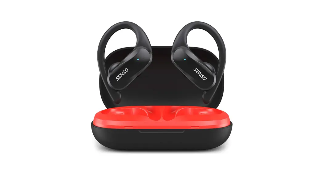 Cannice A801-65 True Wireless Earphones User Guide