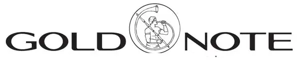 GOLD-NOTE-Valore-425-Lite-Italia-Turntable-LOGO