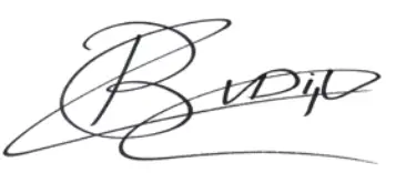 DUTCH DO-SV-TWS04-x TWS IN EARPHONES BTEO - icon 4