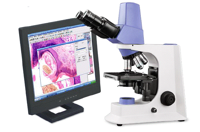 global sources Smart Series Biological Microscope FIG 8