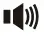 Speaker Icon