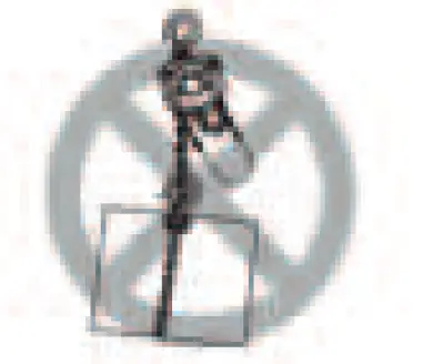 LINX-LIFT-TX-Series-Manual-Hand-Chain-Hoist-07