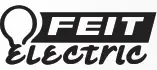 FEIT logo
