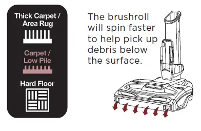 Carpet/Low Pile
