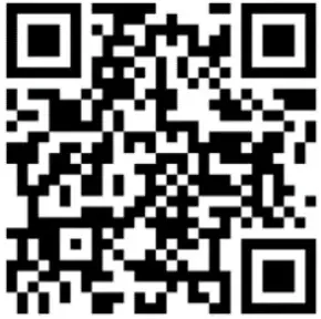 Holybro E11-F9B-077 Kopis Mini Vista HD FPV-QR