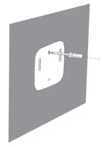 Insert anchors into the holes