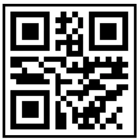 STIHL Wet Sandblasting Device - qr