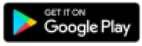 Google play store icon