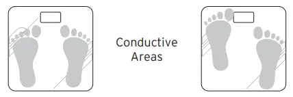 Conductive Areas