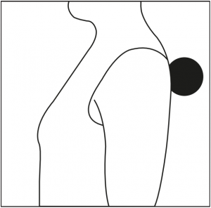 Examples of use - Back