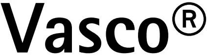 BRAUN Vasco logo 2