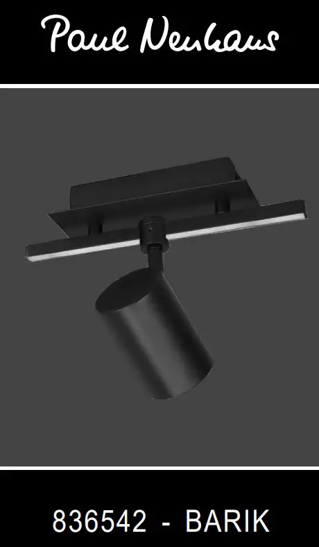 Paul Neuhaus Barik Wall Ceiling Light Instructions