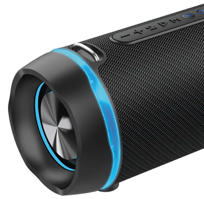 LEDWOOD XTREME240 BT Portable Speaker