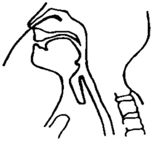 EXACON Temperature Probes - Nasopharynx