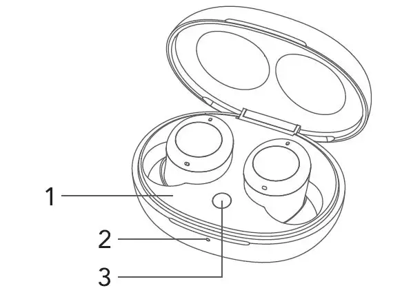 DIZO DA2105L GoPods Neo Earbuds fig6