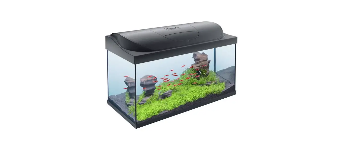 Tetra Cm44x30x37h Starter Line Led Aquarium 30 L Instruction Manual