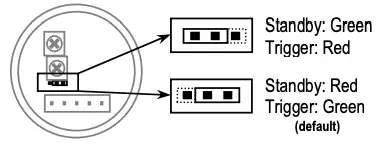Single-Gang, Double-Gang, Euro Models