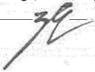 AZLA AZPG RF2000 Wireless Gaming Earphone - saine