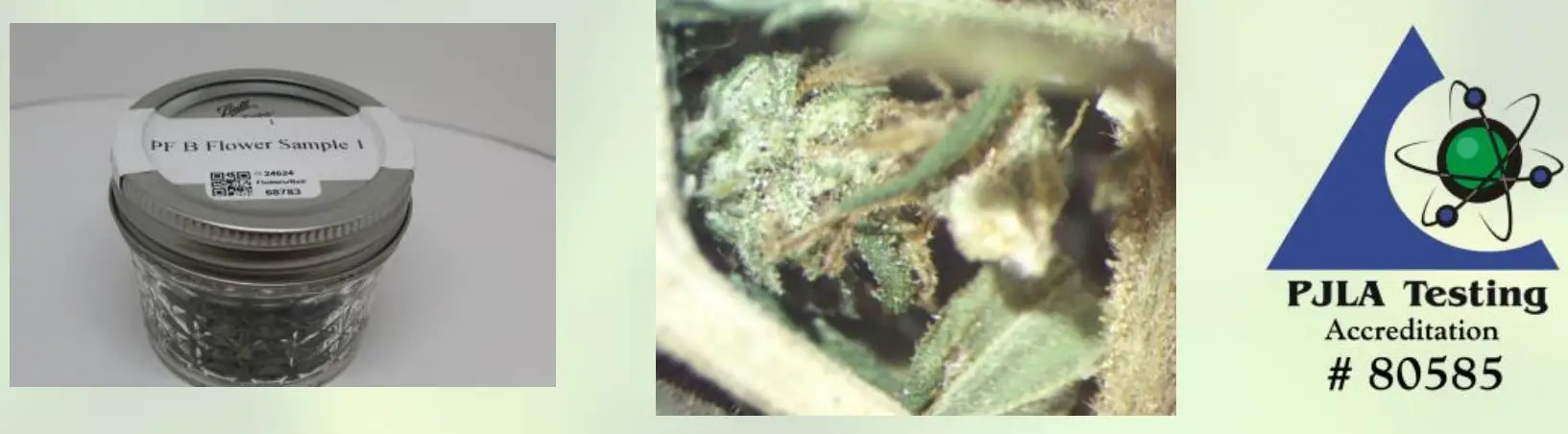 PROSPECT FARMS Balance Topical  Extra Strengt - Figure