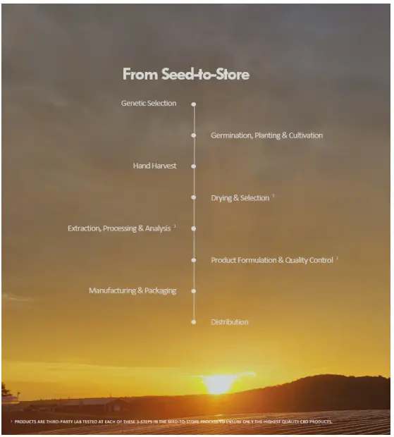 PROSPECT FARMS Balance Topical  Extra Strengt - Store Promise