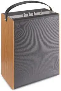 FENTON Vintage Speaker 1