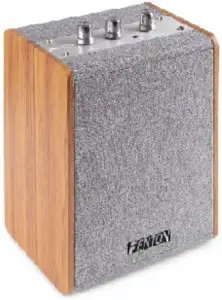 FENTON Vintage Speaker 2