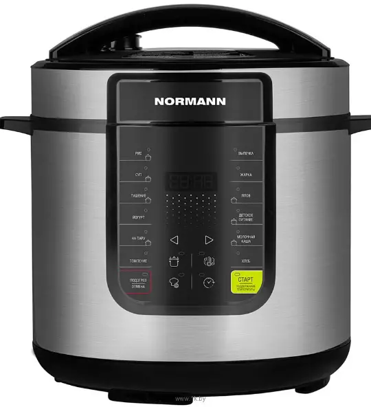 BRAYE- BR2401-Multicooker-product-image