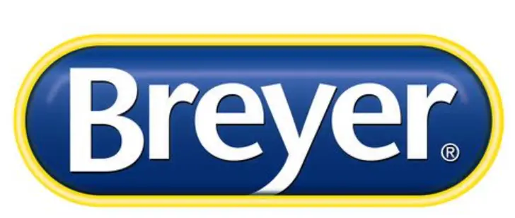 BRAYE- Logo