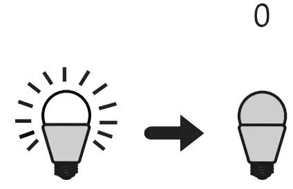 Paul Neuhaus 2080 Floor Lamp - fig 3