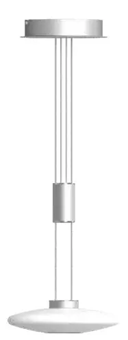 Paul Neuhaus 2080 Floor Lamp