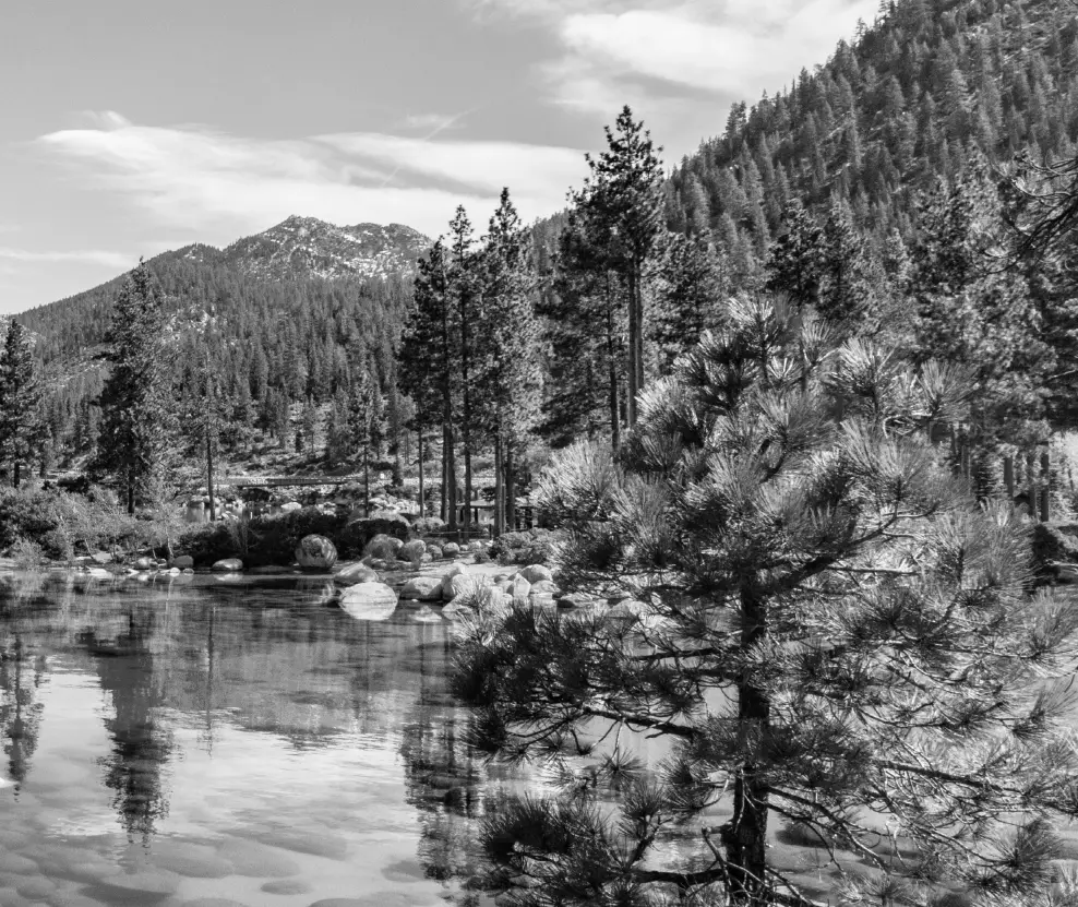 ZLINE 721-RD-34 Stainless Steel Range Hood A03