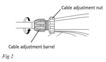 evinci TD-Series Electric Bicycle - Figure 2