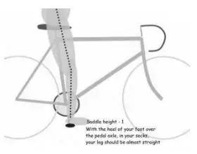 evinci TD-Series Electric Bicycle - How to find the correct saddle height