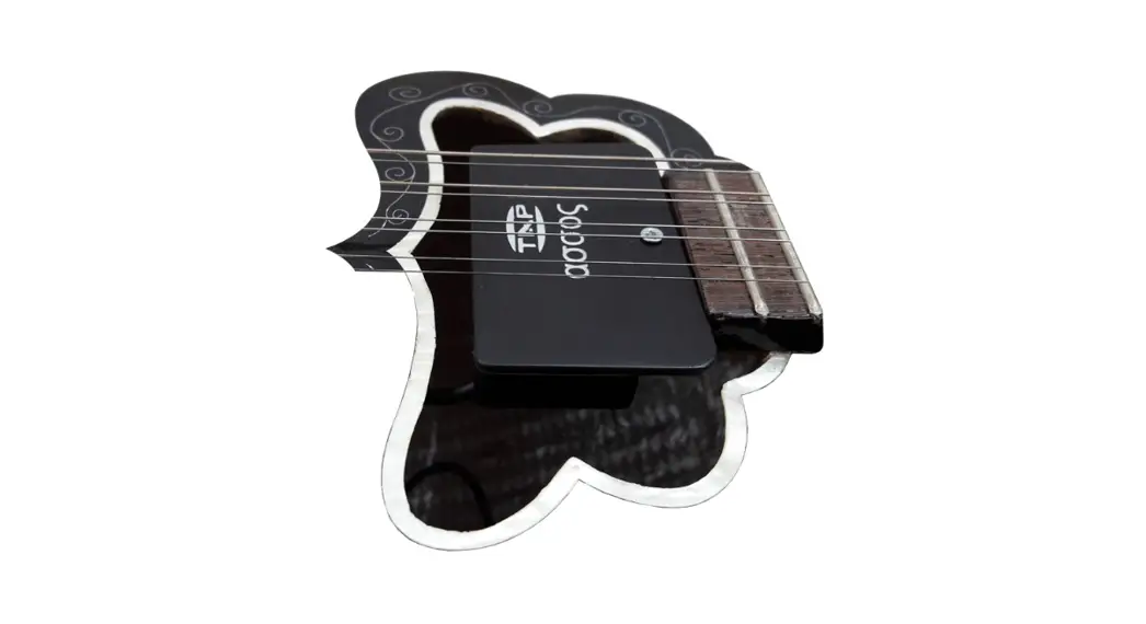 Tap Assos Bouzouki Pickup Owner's Manual