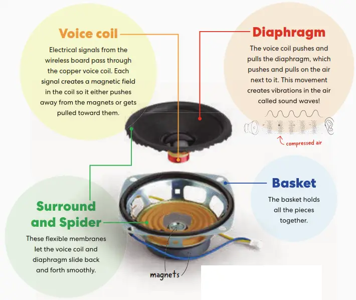 KiwiCo Kinetic Light Up Speaker - speaker drivers