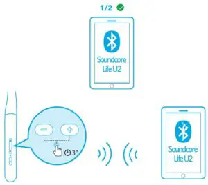 MULTIPOINT CONNECTION