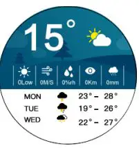 Fontastic EXPLOR 600CH GPS Smartwatch User Manual - Weather