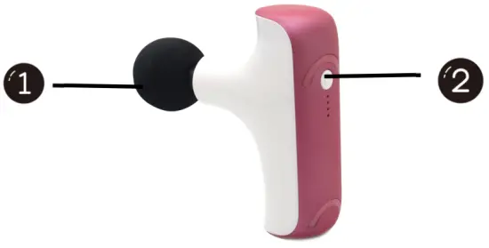 Main Unit & Accessories