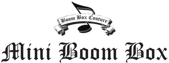 WIRELESS EXPRESS Mini Boombox with LED Speakers - cobntrj