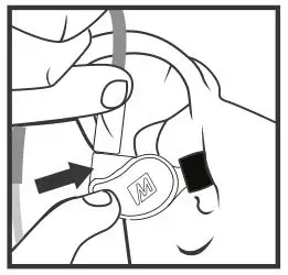 MEE Universal-Fit Noise-Isolating Musicians In-Ear Monitors - GENTLY INSERT TIP INTO EAR